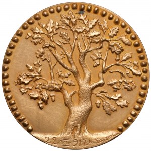 Medal, Jozef Pilsudski Creator of the Legions 1917. [2128]