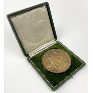 Austria, Medal 1916 - 100. lecie Banku Narodowego