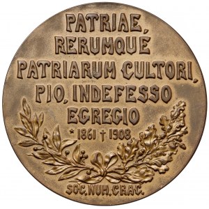 Medal, Andrzej Potocki 1908 - B.RZADKI