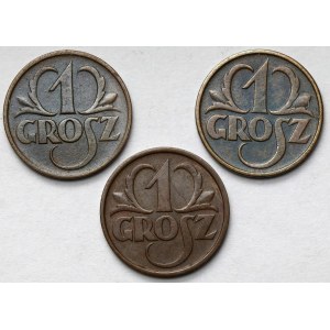 1 grosz 1925-1935 - zestaw (3szt)