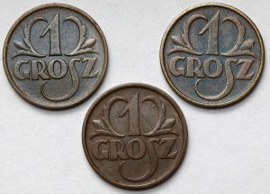 1 grosz 1925-1935 - zestaw (3szt)