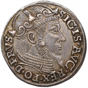 Zygmunt II August, Trojak Gdańsk 1557