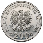 Próba FeNi 200 złotych 1985 Pomnik - Szpital Centrum Zdrowia Matki Polki