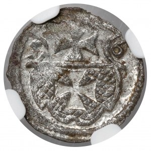 Sigismondo II Augusto, denario di Elbląg 1556 - bella