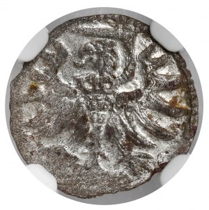 Sigismund II Augustus, Elblag denarius 1556 - beautiful