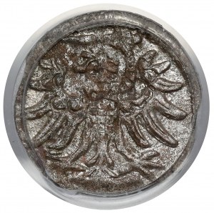 Zikmund II Augustus, gdaňský denár 1554 - raženo