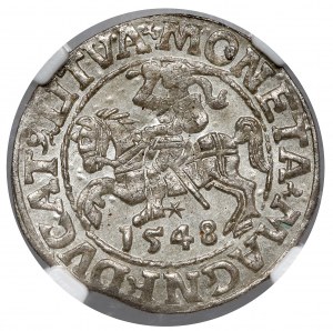 Sigismund II Augustus, Vilnius 1548 half-penny - beautiful