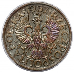 2 penny 1937