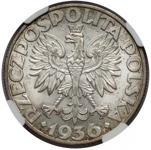 Veliero 5 oro 1936