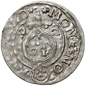 Sigismondo III Vasa, mezzobusto Bydgoszcz 1622 - sassone nello scudo