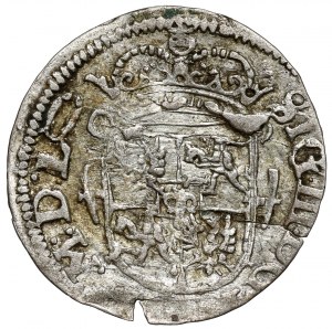 Sigismund III. Vasa, Halbspur Vilnius 1619 - selten