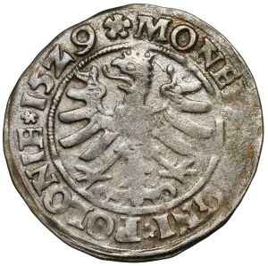 Sigismund I the Old, Cracow 1529 penny - POLONI - very rare