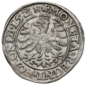 Sigismund I the Old, Grosz Krakow 1528