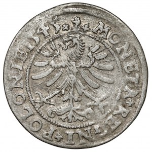 Zygmunt I Stary, Grosz Kraków 1545