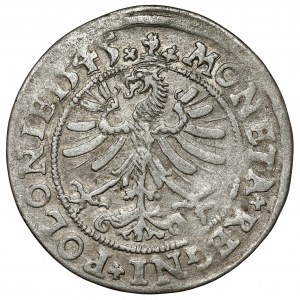 Zikmund I. Starý, Grosz Krakov 1545