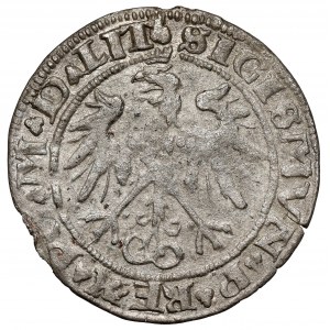 Zygmumt I Stary, Grosz Wilno 1536