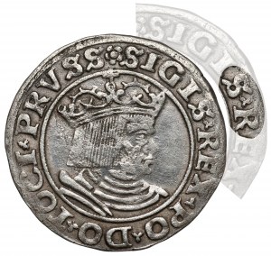 Sigismund I. der Alte, Grosz Toruń 1530 - ohne I - RARE