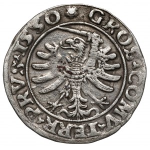 Zygmunt I Stary, Grosz Toruń 1530 - bez I - RZADKI