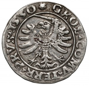 Sigismund I. der Alte, Grosz Toruń 1530 - ohne I - RARE