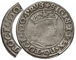 Sigismund I the Old, Torun 1530 penny - TOCI DO - very rare