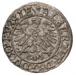Prusy, Albrecht Hohenzollern, Szeląg Królewiec 1560 - ostatni