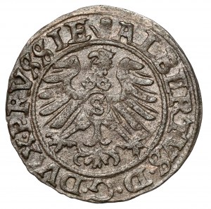 Prussia, Albrecht Hohenzollern, Königsberg 1560 - last one