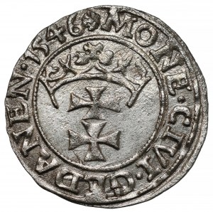 Žigmund I. Starý, Szeląg Gdansk 1546