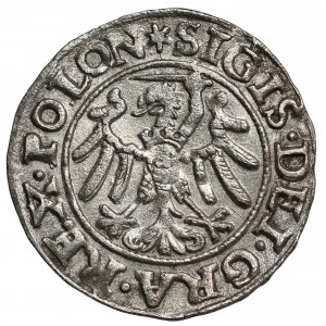 Zygmunt I Stary, Szeląg Gdańsk 1546