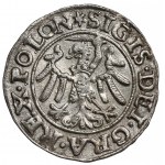 Zygmunt I Stary, Szeląg Gdańsk 1546