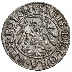 Sigismund I. der Alte, Szeląg Danzig 1546