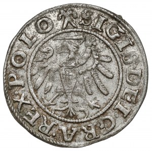Žigmund I. Starý, Szeląg Gdansk 1539 - rozeta