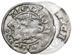 Alexander Jagiellonian, mezzo penny di Vilnius - MAGN - molto raro