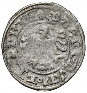 Alexander Jagiellonian, Vilnius half-penny - inverted D in ALEXANDRI