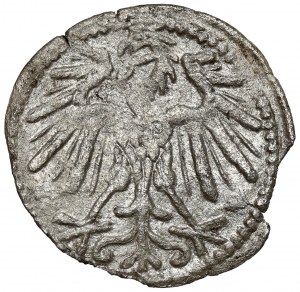 Sigismund II Augustus, Vilnius denarius 1547 - very rare