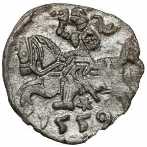 Zygmunt II August, Denar Wilno 1559
