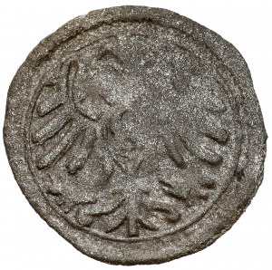 Prussia, Albrecht Hohenzollern, Königsberg denarius without date - DOUBLE otok