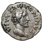Antoninus Pius (138-161 n.e.) Denar pośmiertny