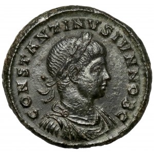 Konstantyn II (337-340 n.e.) Follis, Sirmium - ALEMANNIA DEVICTA