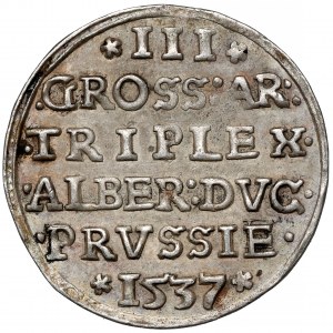 Prusy, Albrecht Hohenzollern, Trojak Królewiec 1537