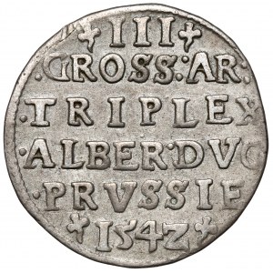 Prusy, Albrecht Hohenzollern, Trojak Królewiec 1542