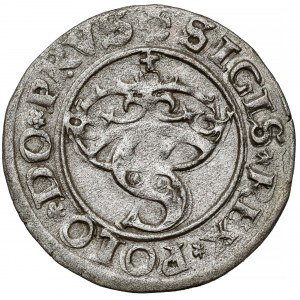 Zygmunt I Stary, Szeląg Toruń 1529