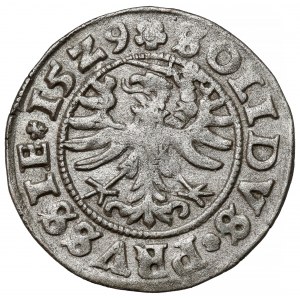 Zygmunt I Stary, Szeląg Toruń 1529