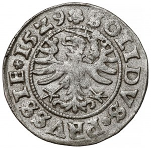 Sigismund I. der Alte, Szeląg Toruń 1529