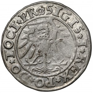 Zygmunt I Stary, Grosz Elbląg 1534