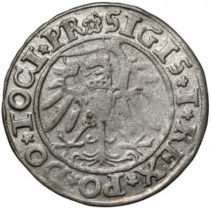Žigmund I. Starý, groš Elbląg 1534