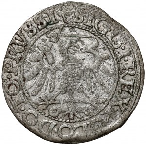 Zygmunt I Stary, Grosz Elbląg 1540
