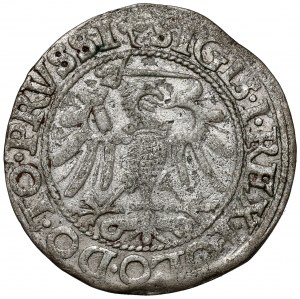 Sigismund I. der Alte, Pfennig Elbląg 1540