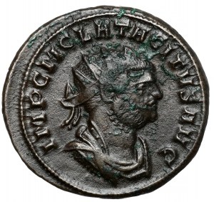 Tacitus (275-276 n. l.) Antonín, Ticinum