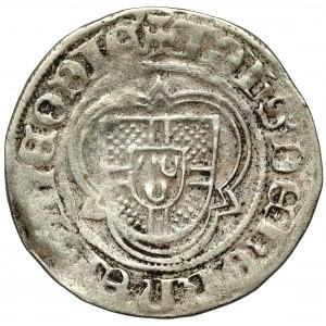Belgia, Liege, John of Hornes (1484-1505), Floren bez daty