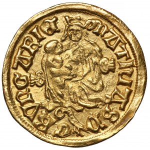 Węgry, Maciej Korwin (1458-1490) Goldgulden bez daty h-T (1482-1489)
